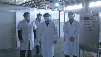 视频︱胡安元调研企业食品药品安全 开展巡林工作