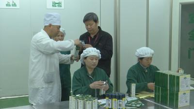 视频︱董学：专注质量管理 深耕中医药企业