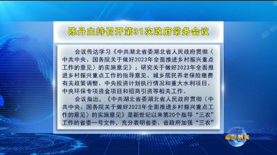 视频︱陈丹主持召开第31次政府常务会议