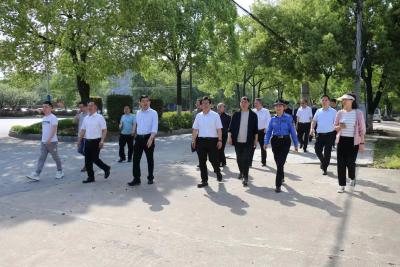 快讯丨毛红志督导蕲春大道中段城镇管理百日攻坚行动
