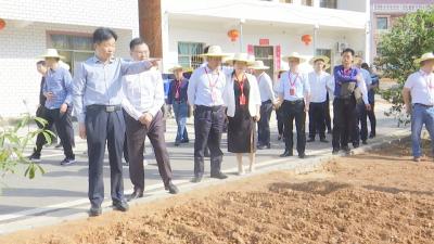 视频︱县政协开展“共同缔造·垸组改造”专项视察