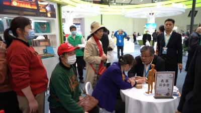 视频︱蕲春元素闪亮世界大健康博览会