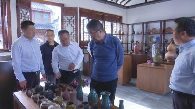 视频︱知名旅游专家来蕲调研中医药健康旅游示范区建设