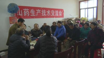 视频︱春满“会”开 拥抱明天