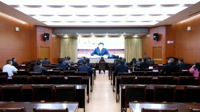 视频︱陈丹在全市上市工作推进视频会上作交流发言