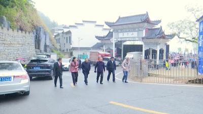 视频︱杨振武调研雾云山景区文化旅游产业 