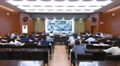 视频︱陈丹主持召开2023年第二次规划评审会