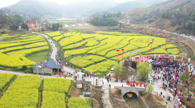 视频︱刘河镇：干群“双向奔赴”  缔造美好生活