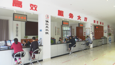 视频︱漕河镇：立足区域特色 探索新时期城乡共治新路子