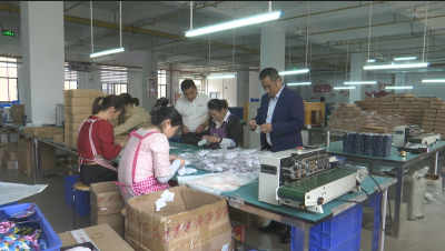 视频︱湖北鼎艾科技公司：忙生产出精品迎节会