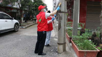 视频︱县直机关发展对象培训班学员助力百日攻坚行动