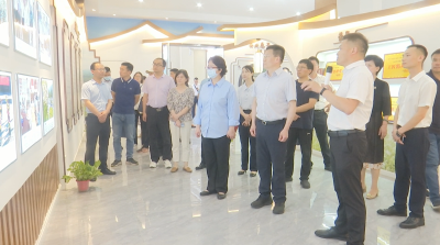 视频︱民进中央社会服务部来蕲调研