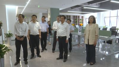 视频︱荆门市考察团来蕲考察电子商务等工作