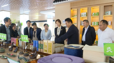 视频︱省工商联主席党蓁来蕲调研