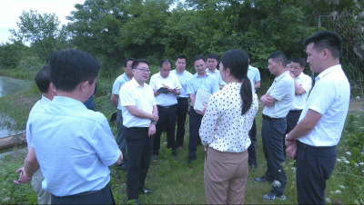 视频︱胡安元到管窑镇调研小流域综合治理试点工作