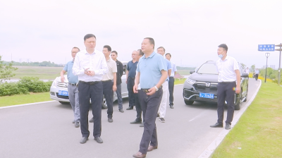 视频︱欧阳畅贤督导赤东支堤中段和夏坳泵站防汛工作