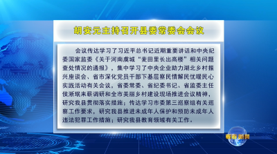 视频︱胡安元主持召开县委常委会会议