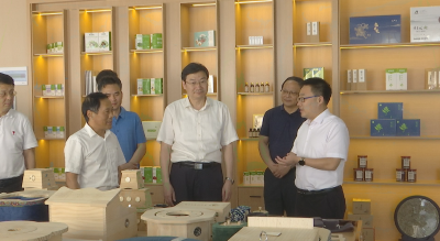 视频︱省公共资源交易中心(省政府采购中心)主任胡俊明来蕲春调研