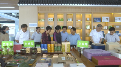 视频︱杨玉华来蕲春调研中医药产业发展