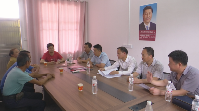 视频︱刘河 狮子稳步推进“双区”征拆行动
