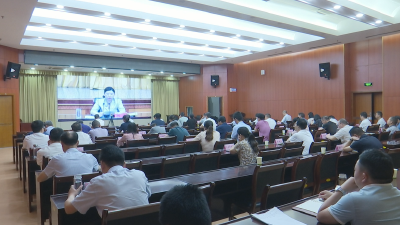 视频︱蕲春组织收看全市审计工作视频会