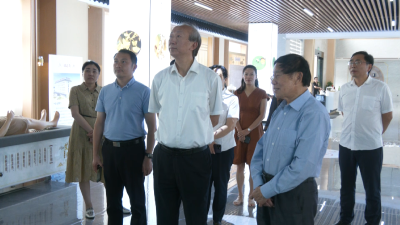 视频︱省卫健委副主任柳东如来蕲春调研公共卫生体系建设