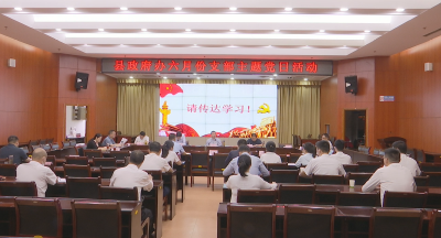 视频︱县政府办机关支部开展6月份“支部主题党日”活动