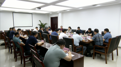视频︱陈丹主持召开重点项目进展情况汇报会