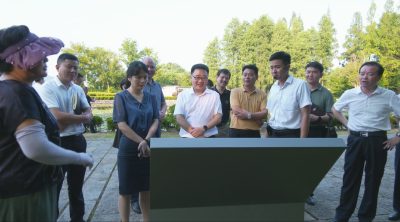 视频︱胡安元 陈丹调研美丽城乡建设和全域大文旅工作