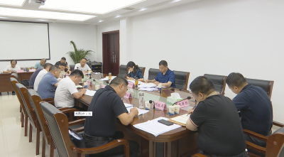 视频｜陈丹主持召开政府专项债券项目谋划储备会议