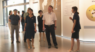 视频｜长江产业投资集团来蕲考察蕲艾产业