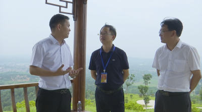 视频｜县人大常委会视察废弃矿山生态修复治理和开采矿山绿色发展工作