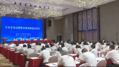 视频︱黄冈市劳务品牌推荐培训会：举全市之力打造蕲春艾灸师品牌