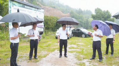 视频︱胡安元到漕河镇慰问困难党员 开展巡林工作