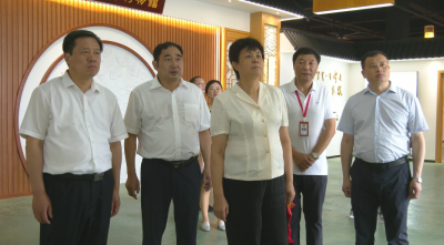 视频︱国家市场监督管理局总局副局长甘霖来蕲春调研蕲艾知识产权保护工作