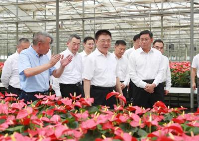 王蒙徽在荆门调研时强调：解放思想更新观念 振奋精神勇争一流 加快建设产业转型升级示范区