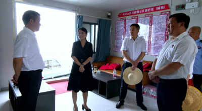 视频︱陈丹到蕲州巡江巡林 调研美丽乡村建设