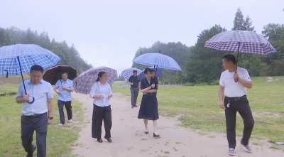 视频｜陈丹到株林镇调研和美乡村示范片建设