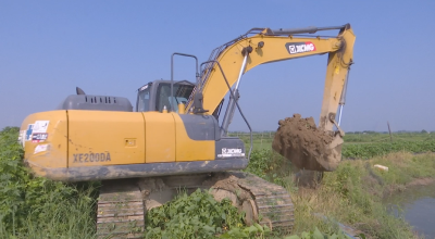 视频｜八里湖办事处：打击违法占用耕地行为 严守耕地保护红线