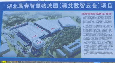 视频｜陈青督办智慧云仓项目建设