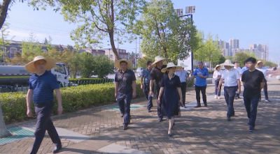 视频｜陈丹调研城市公园建设