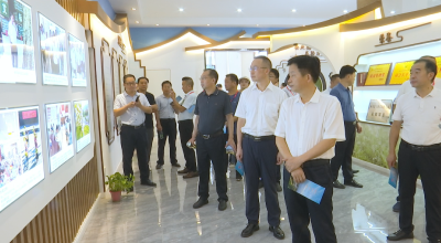 视频｜县政协视察乡村振兴示范片建设工作