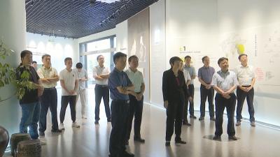 视频｜  洪再林调研蕲艾品牌建设工作