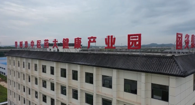 视频｜蕲春：凝心聚力抓招商 大干快上建项目