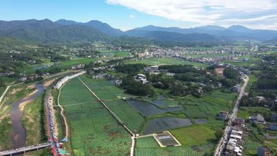 视频｜ 狮子镇：以“荷”为媒 “莲”通乡村振兴路