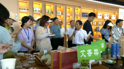 视频｜中宣部“高质量发展调研行”主题采访活动聚焦蕲春