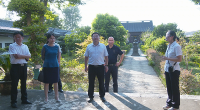 视频｜胡安元 陈丹调研全域大文旅工作