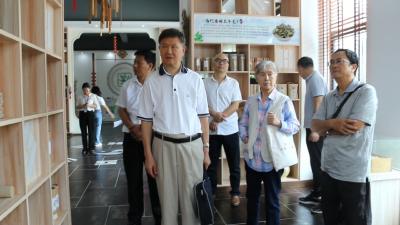 视频｜省政府文史馆来蕲春调研中医药传承创新发展工作