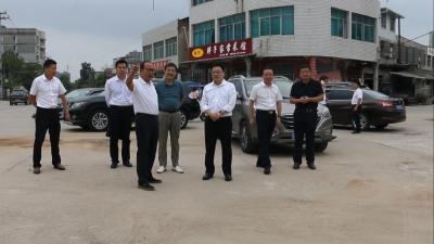 视频｜胡安元调研美丽城乡建设