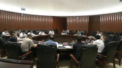 视频｜陈丹主持召开重点项目进展情况汇报会